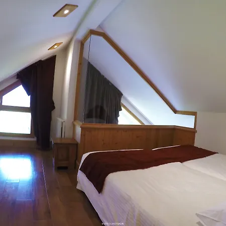 レ バルコン デュ サボワ アパートホテル シャモニー