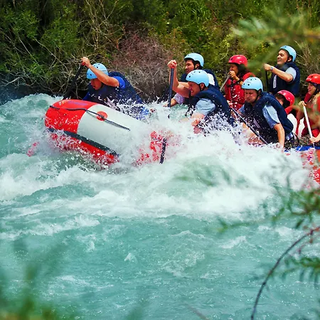 レ バルコン デュ サボワ 4*